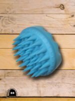 Curry brush, blue