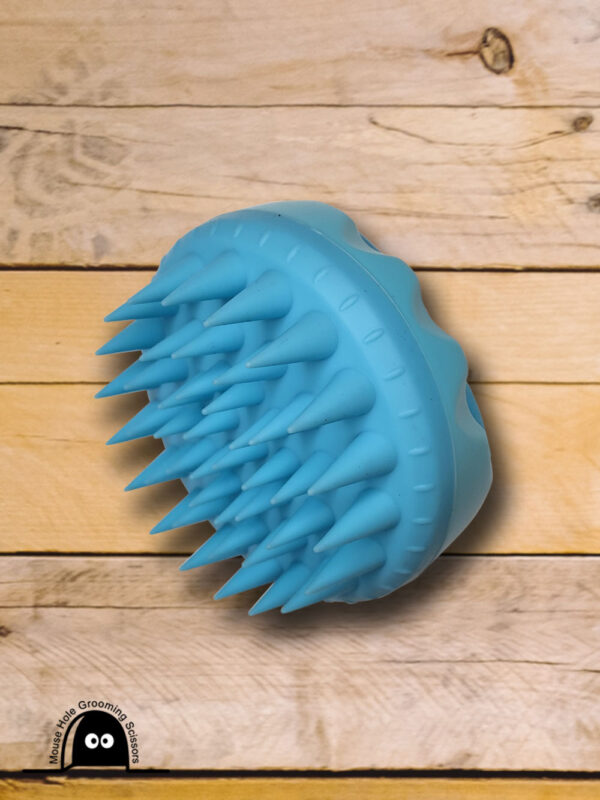 Curry brush, blue