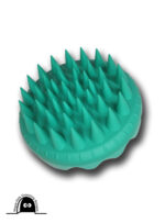 Curry brush, teal